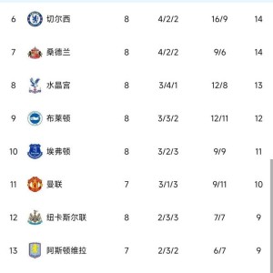 九州官方网站-球队联赛排名榜首，实力崭露头角豪情壮志(rng队员全部名单)